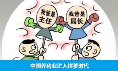 中国养猪业进入拼爹时代